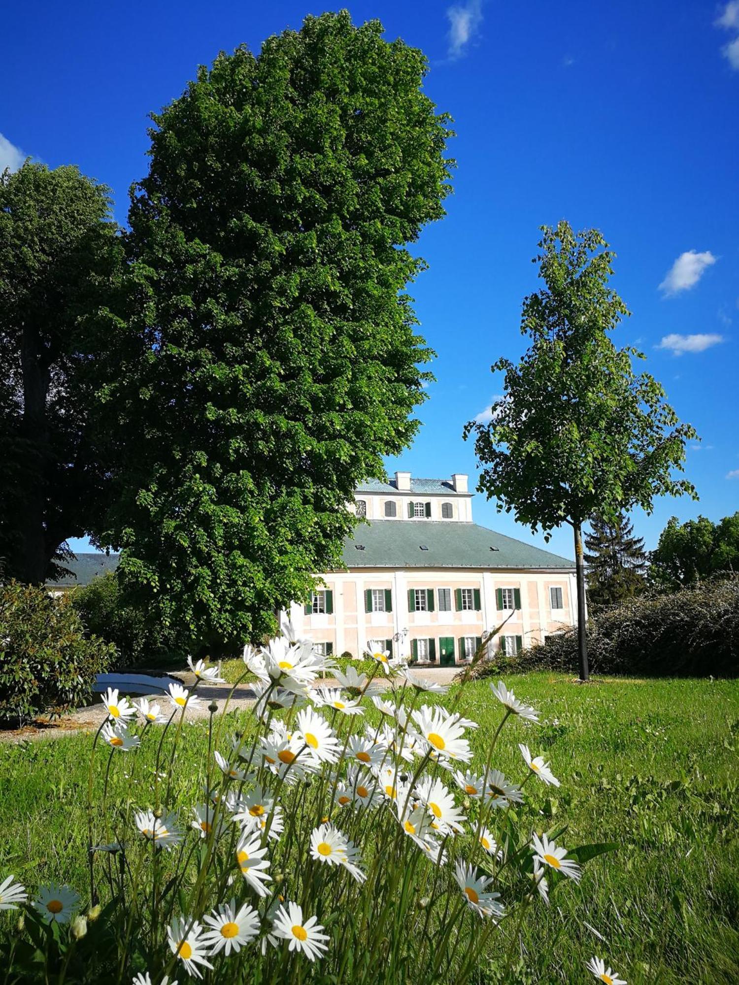 Penzion Ve Srubu Horni Radechova Hotel Luaran gambar