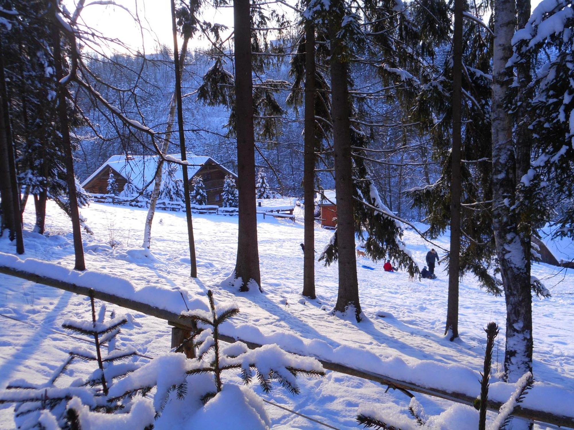 Penzion Ve Srubu Horni Radechova Hotel Luaran gambar